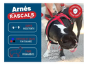 ARNES RASCALS PREMIUM TALLE S (+)