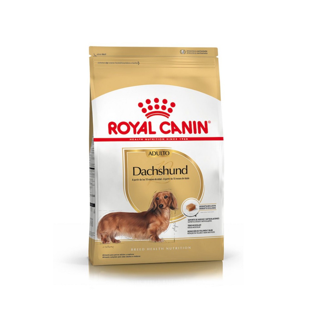 Royal  Dachshund Adulto 3kg