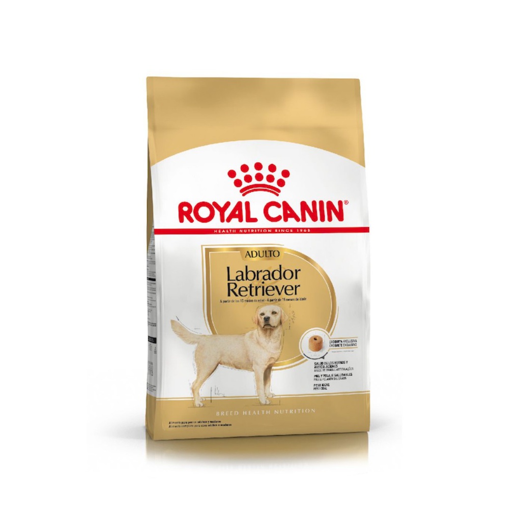 Royal Labrador Retriever Adulto 12kg