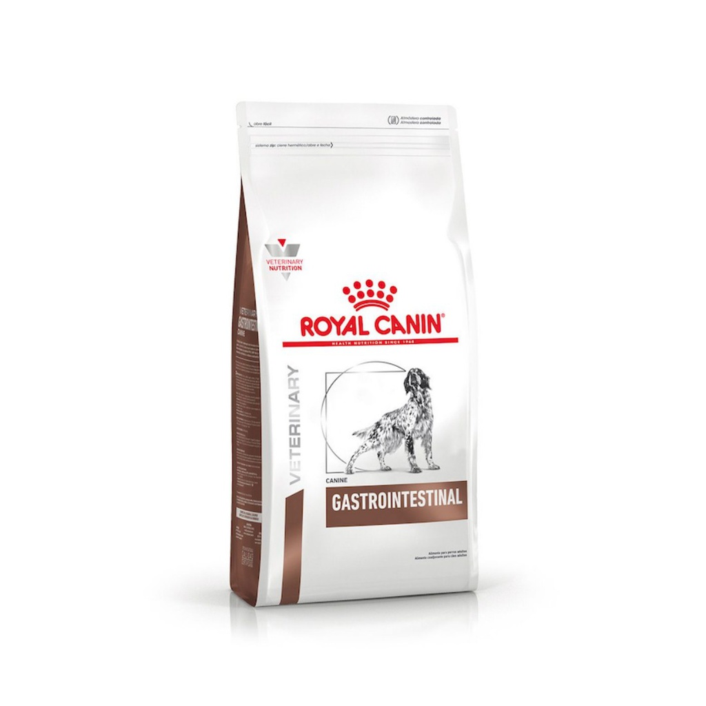 Royal  Gastrointestinal Dog 10kg