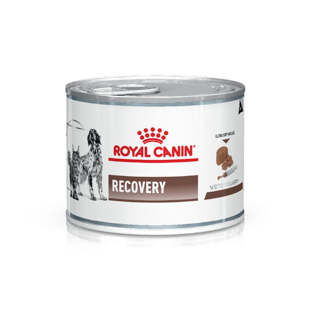 Royal  Lata RECOVERY Dog  y Cat 195g