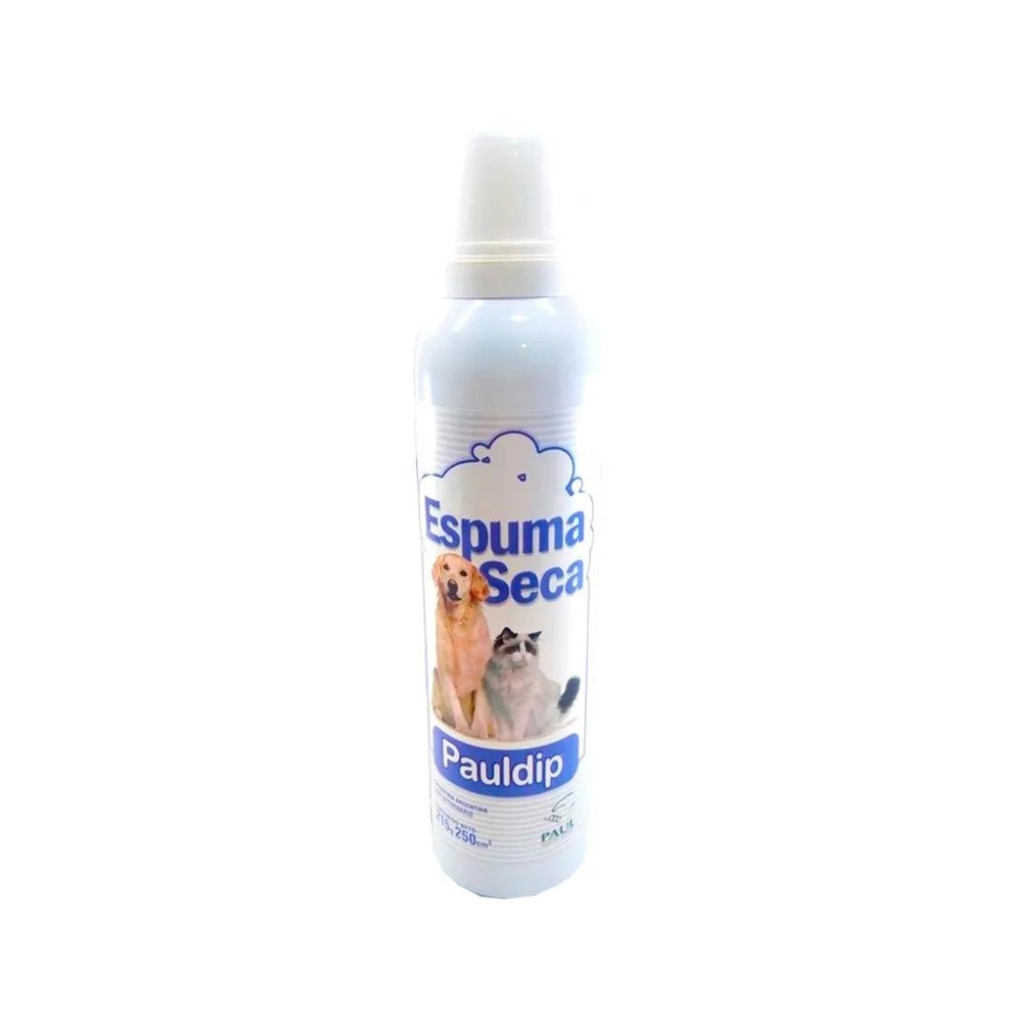 PAULDIP ESPUMA SECA X 250 ML                                