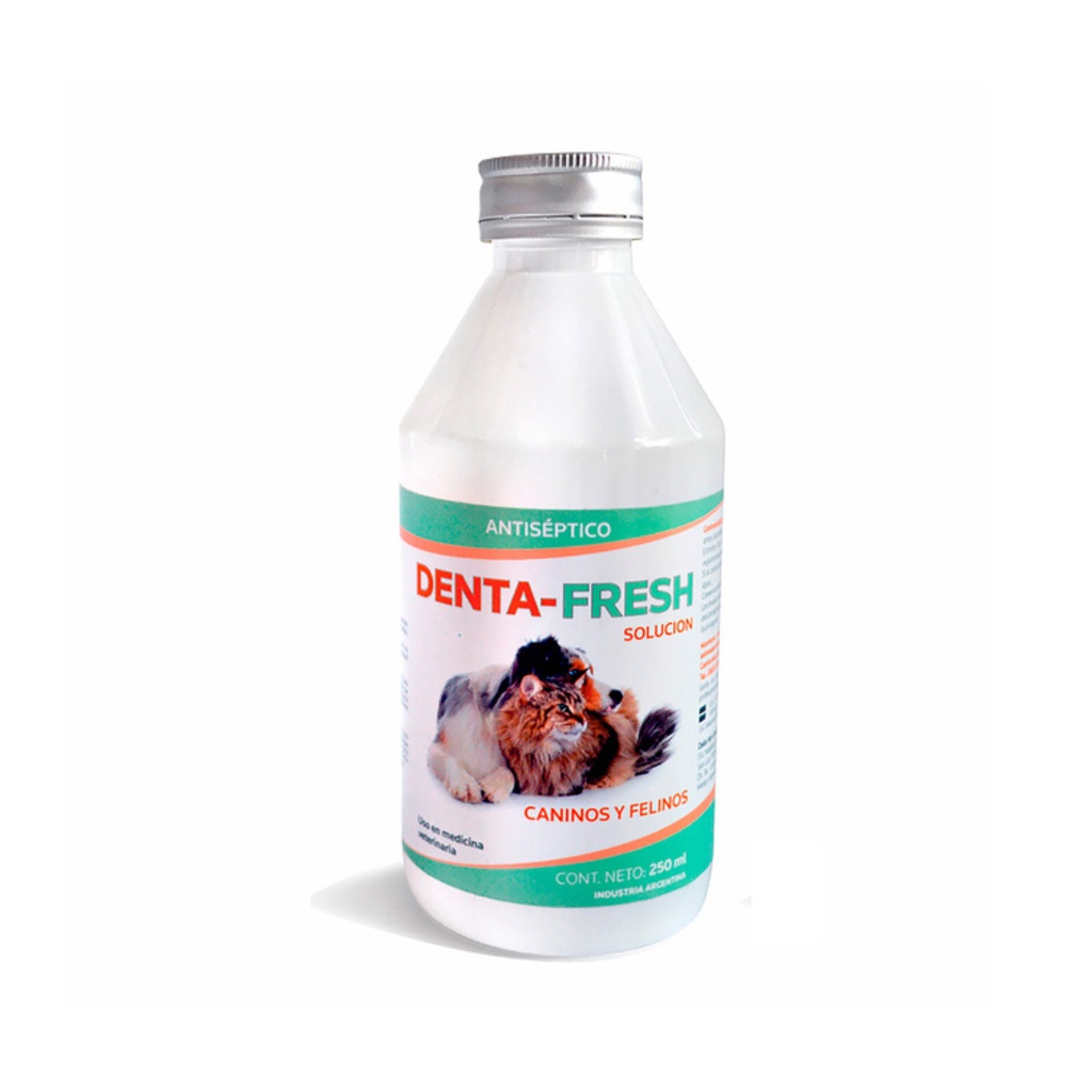 DENTA-FRESH X 250 ML                                        