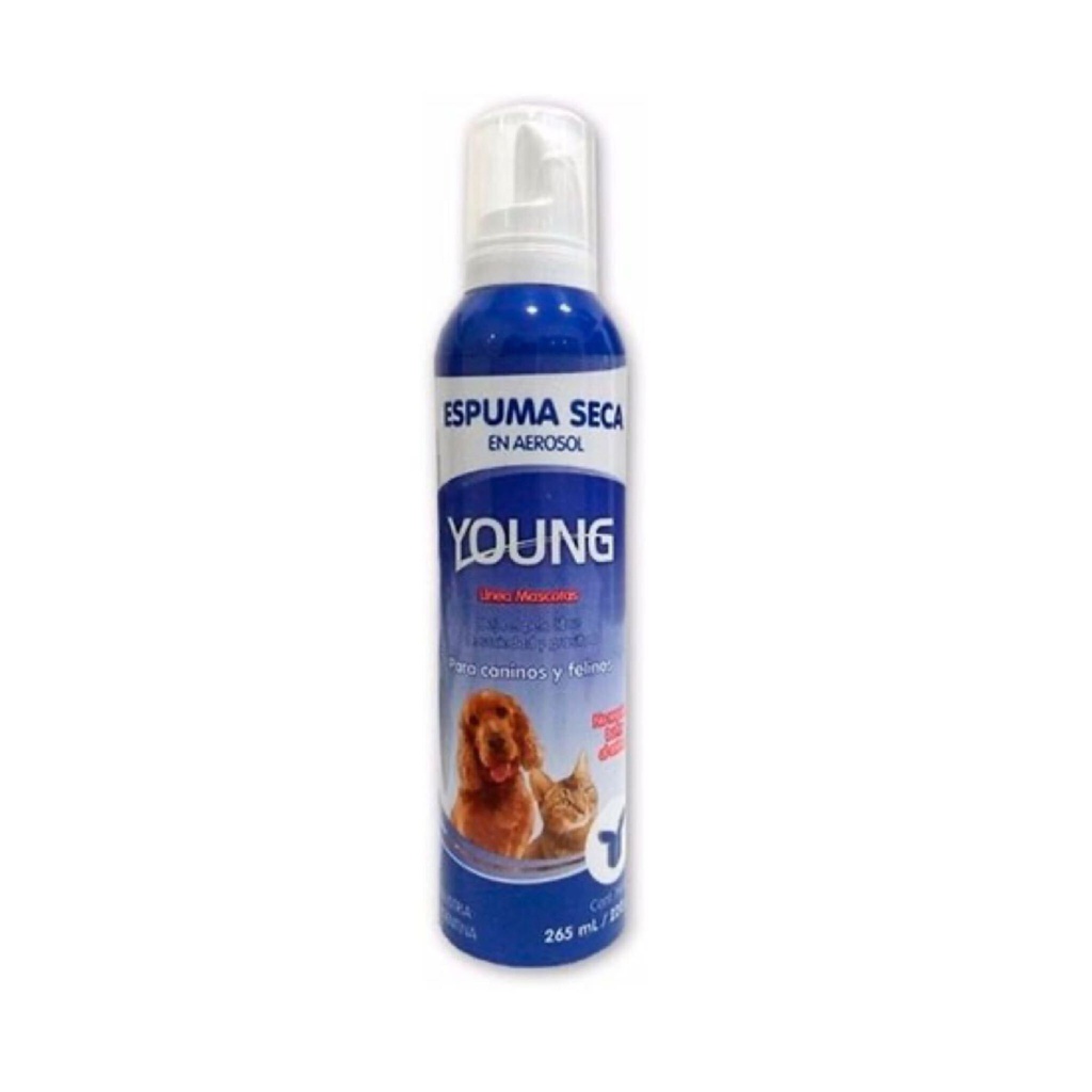 ESPUMA SECA YOUNG X 265 ML                                  