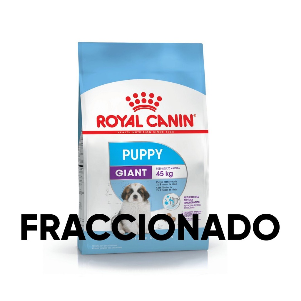 Royal Giant Puppy Fraccionado