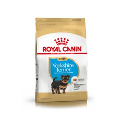 [3813030] Royal  Yorkshire Terrier Junior 3kg