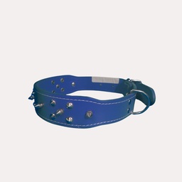 [PUAS7] COLLAR CUERINA C/PUAS Y TACHAS IMPORTADO (R)